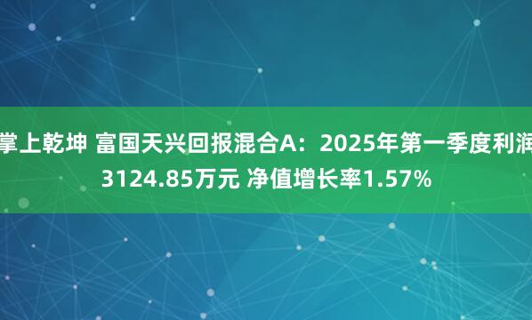 掌上乾坤 富国天兴回报混合A：2025年第一季度利润3124.85万元 净值增长率1.57%