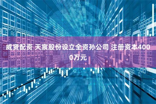 威贤配资 天宸股份设立全资孙公司 注册资本4000万元