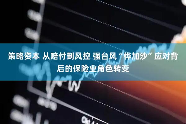 策略资本 从赔付到风控 强台风“桦加沙”应对背后的保险业角色转变