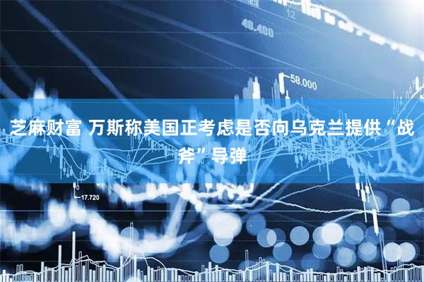 芝麻财富 万斯称美国正考虑是否向乌克兰提供“战斧”导弹