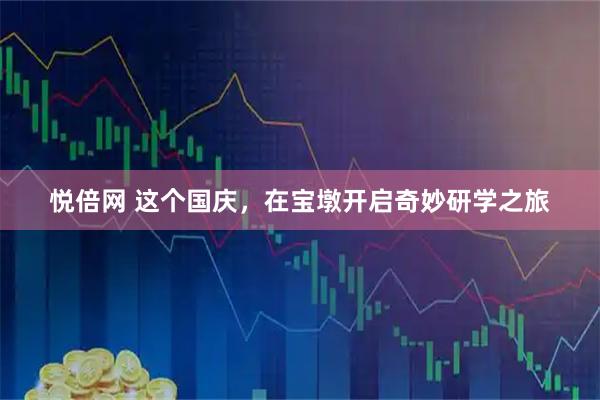 悦倍网 这个国庆，在宝墩开启奇妙研学之旅