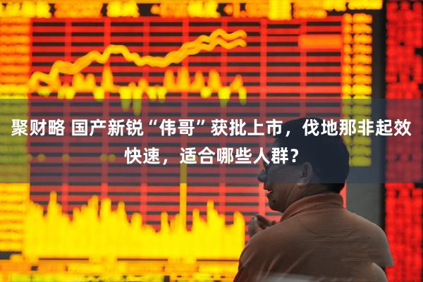 聚财略 国产新锐“伟哥”获批上市，伐地那非起效快速，适合哪些人群？